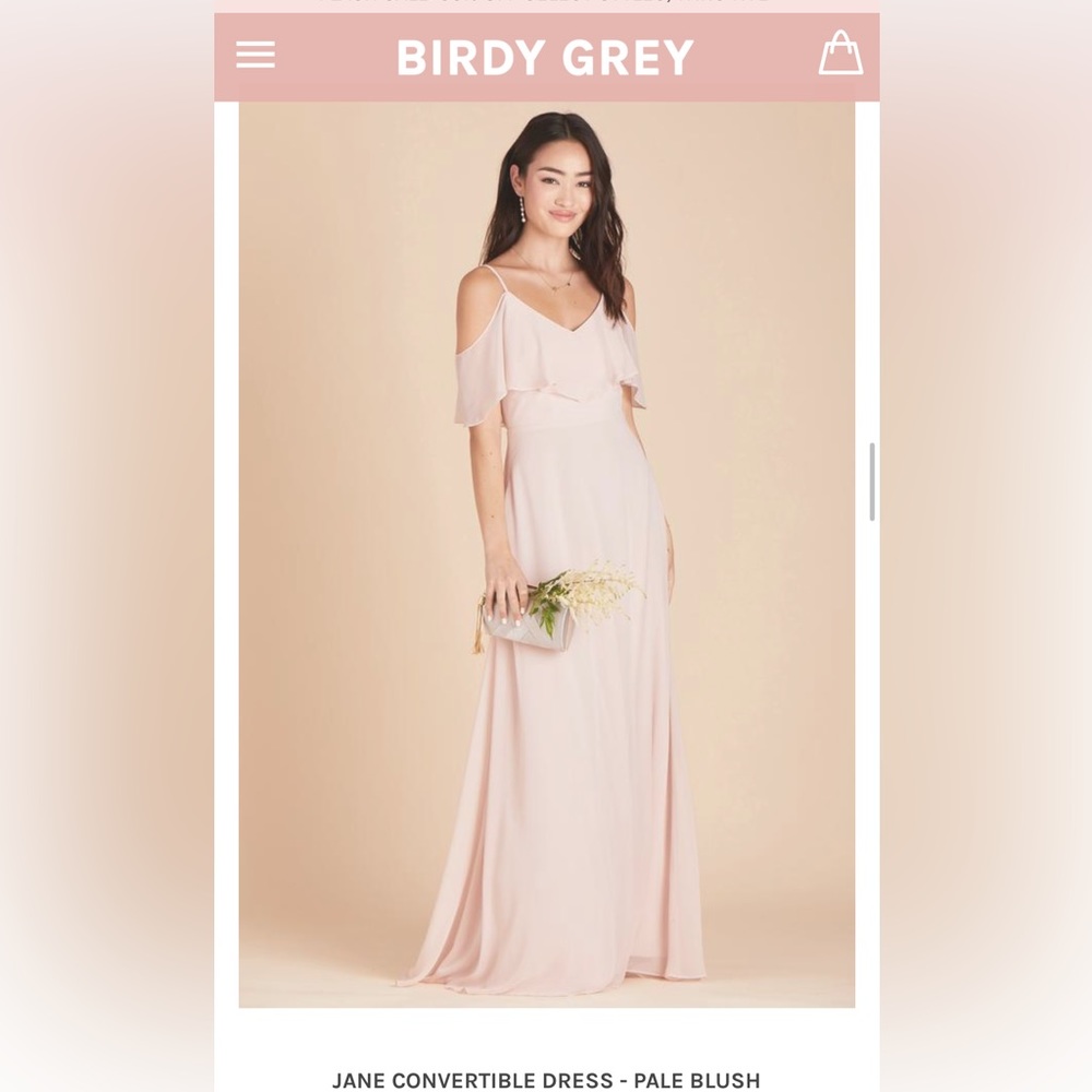 Birdy Grey Jane Convertible Dress in Pale Blush